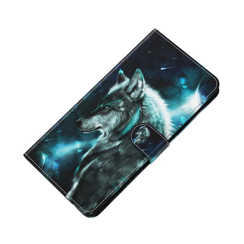 Flip Kotelot Google Pixel 6 Pro Majestic Wolf