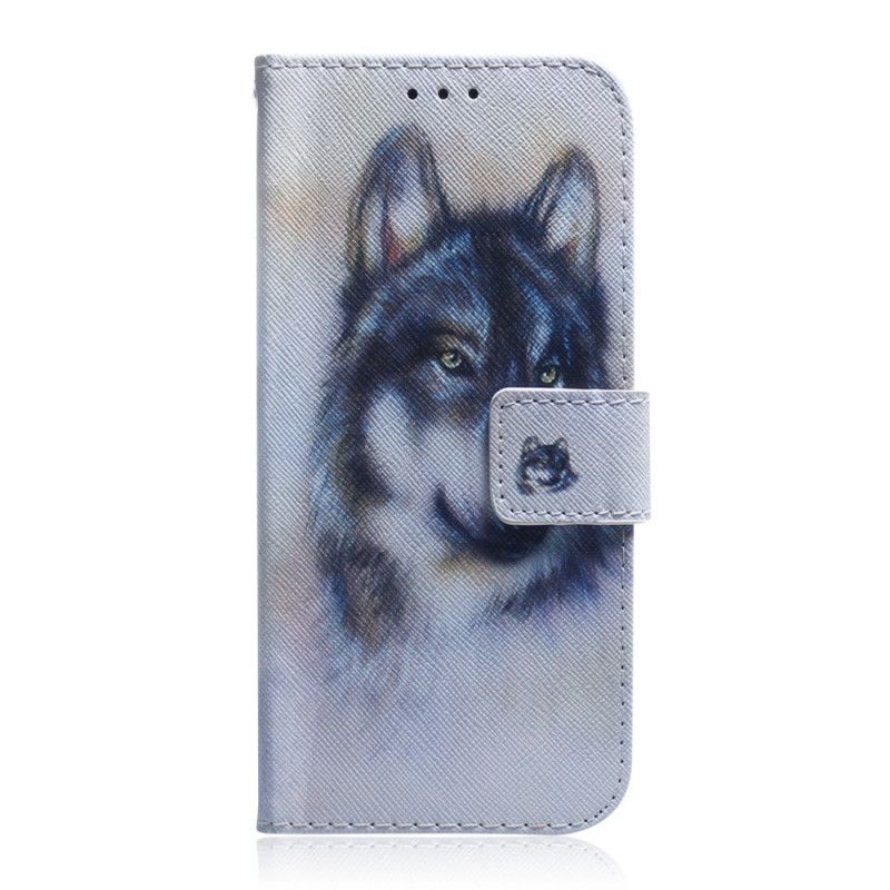 Flip Case iPhone 12 Pro Max Koiran Katse