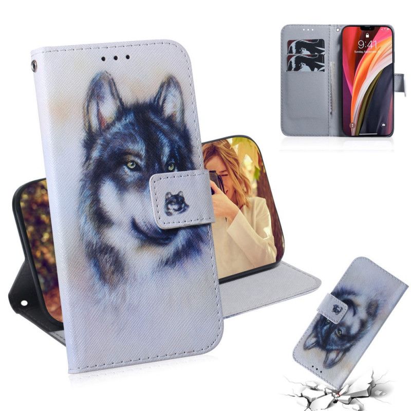 Flip Case iPhone 12 Pro Max Koiran Katse