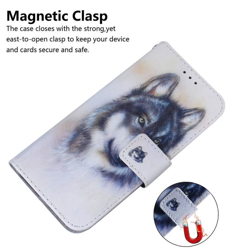 Flip Case iPhone 12 Pro Max Koiran Katse