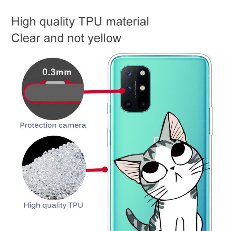 Case Kuoret OnePlus 8T Puhelinkuoret Katso Harmaa Kissa