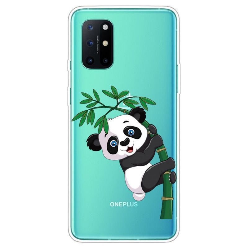 Kuori OnePlus 8T Läpinäkyvä Panda Bambulla Suojakuori