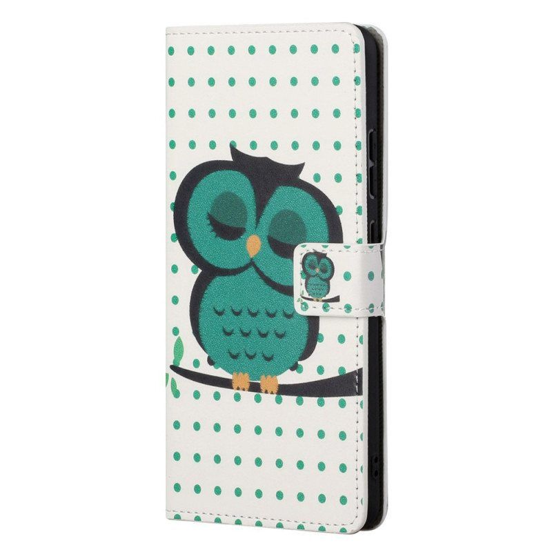 Flip Case OnePlus Nord CE 2 5G Nukkuva Lintu